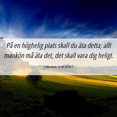 Picture 06 - 4 Mosebok 18:10 SV1917 - På en höghelig plats skall du äta detta; allt - Bible Verse Picture