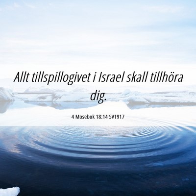 Picture 06 - 4 Mosebok 18:14 SV1917 - Allt tillspillogivet i Israel skall tillhöra - Bible Verse Picture
