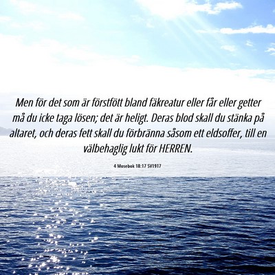 Picture 06 - 4 Mosebok 18:17 SV1917 - Men för det som är förstfött bland fäkreatur - Bible Verse Picture