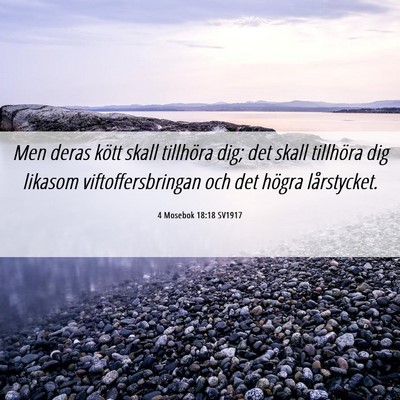 Picture 06 - 4 Mosebok 18:18 SV1917 - Men deras kött skall tillhöra dig; det skall - Bible Verse Picture