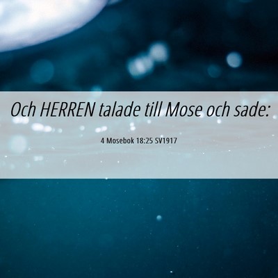 Picture 06 - 4 Mosebok 18:25 SV1917 - Och HERREN talade till Mose och - Bible Verse Picture
