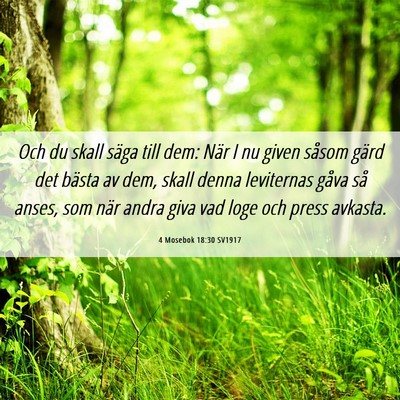 Picture 06 - 4 Mosebok 18:30 SV1917 - Och du skall säga till dem: När I nu given - Bible Verse Picture