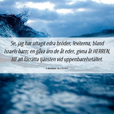 Picture 06 - 4 Mosebok 18:6 SV1917 - Se, jag har uttagit edra bröder, leviterna, - Bible Verse Picture