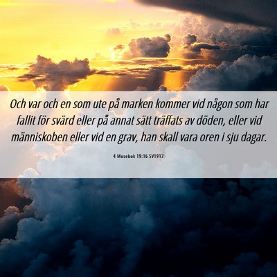 Picture 06 - 4 Mosebok 19:16 SV1917 - Och var och en som ute på marken kommer vid - Bible Verse Picture