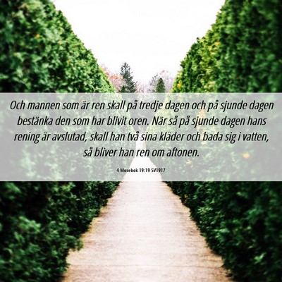 Picture 06 - 4 Mosebok 19:19 SV1917 - Och mannen som är ren skall på tredje dagen och - Bible Verse Picture
