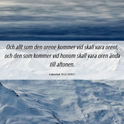 Picture 06 - 4 Mosebok 19:22 SV1917 - Och allt som den orene kommer vid skall vara - Bible Verse Picture