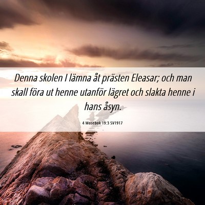 Picture 06 - 4 Mosebok 19:3 SV1917 - Denna skolen I lämna åt prästen Eleasar; och - Bible Verse Picture