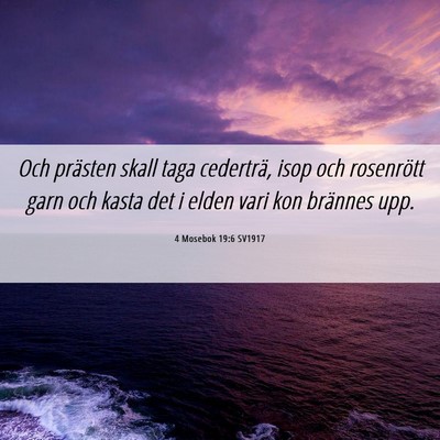 Picture 06 - 4 Mosebok 19:6 SV1917 - Och prästen skall taga cederträ, isop och - Bible Verse Picture