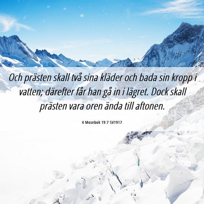 Picture 06 - 4 Mosebok 19:7 SV1917 - Och prästen skall två sina kläder och bada sin - Bible Verse Picture