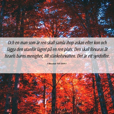 Picture 06 - 4 Mosebok 19:9 SV1917 - Och en man som är ren skall samla ihop askan - Bible Verse Picture
