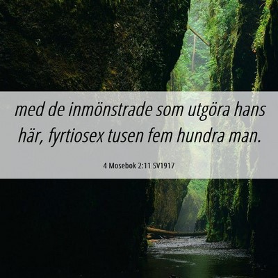 Picture 06 - 4 Mosebok 2:11 SV1917 - med de inmönstrade som utgöra hans här, - Bible Verse Picture