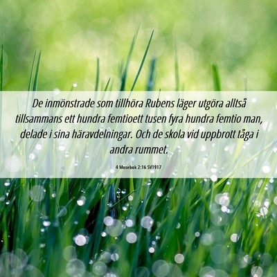 Picture 06 - 4 Mosebok 2:16 SV1917 - De inmönstrade som tillhöra Rubens läger - Bible Verse Picture