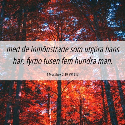 Picture 06 - 4 Mosebok 2:19 SV1917 - med de inmönstrade som utgöra hans här, fyrtio - Bible Verse Picture