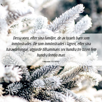 Picture 06 - 4 Mosebok 2:32 SV1917 - Dessa voro, efter sina familjer, de av Israels - Bible Verse Picture