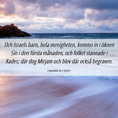 Picture 06 - 4 Mosebok 20:1 SV1917 - Och Israels barn, hela menigheten, kommo in i - Bible Verse Picture