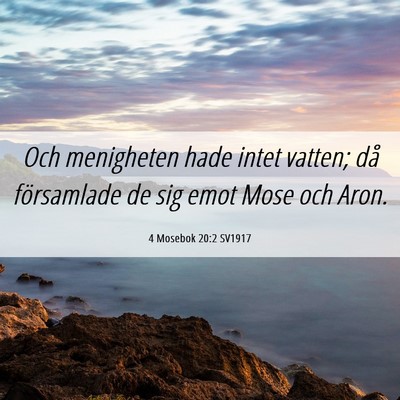 Picture 06 - 4 Mosebok 20:2 SV1917 - Och menigheten hade intet vatten; då församlade - Bible Verse Picture