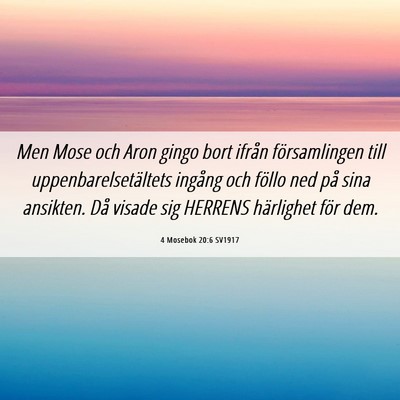 Picture 06 - 4 Mosebok 20:6 SV1917 - Men Mose och Aron gingo bort ifrån församlingen - Bible Verse Picture