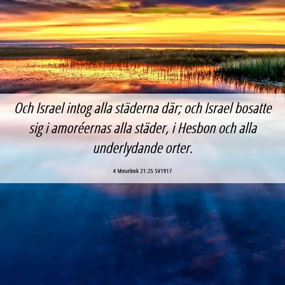 Picture 06 - 4 Mosebok 21:25 SV1917 - Och Israel intog alla städerna där; och Israel - Bible Verse Picture