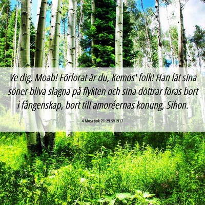 Picture 06 - 4 Mosebok 21:29 SV1917 - Ve dig, Moab! Förlorat är du, Kemos' folk! Han - Bible Verse Picture