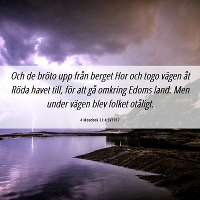 Picture 06 - 4 Mosebok 21:4 SV1917 - Och de bröto upp från berget Hor och togo - Bible Verse Picture