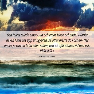 Picture 06 - 4 Mosebok 21:5 SV1917 - Och folket talade emot Gud och emot Mose och - Bible Verse Picture