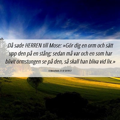 Picture 06 - 4 Mosebok 21:8 SV1917 - Då sade HERREN till Mose: »Gör dig en orm och - Bible Verse Picture