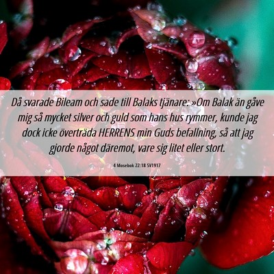 Picture 06 - 4 Mosebok 22:18 SV1917 - Då svarade Bileam och sade till Balaks tjänare: - Bible Verse Picture