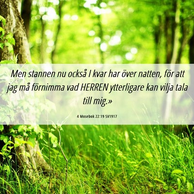 Picture 06 - 4 Mosebok 22:19 SV1917 - Men stannen nu också I kvar har över natten, - Bible Verse Picture