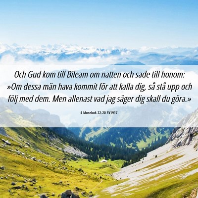 Picture 06 - 4 Mosebok 22:20 SV1917 - Och Gud kom till Bileam om natten och sade till - Bible Verse Picture