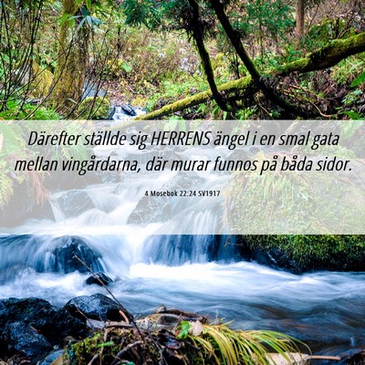Picture 06 - 4 Mosebok 22:24 SV1917 - Därefter ställde sig HERRENS ängel i en smal - Bible Verse Picture