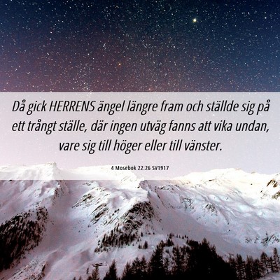 Picture 06 - 4 Mosebok 22:26 SV1917 - Då gick HERRENS ängel längre fram och ställde - Bible Verse Picture