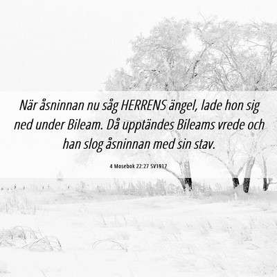 Picture 06 - 4 Mosebok 22:27 SV1917 - När åsninnan nu såg HERRENS ängel, lade hon - Bible Verse Picture