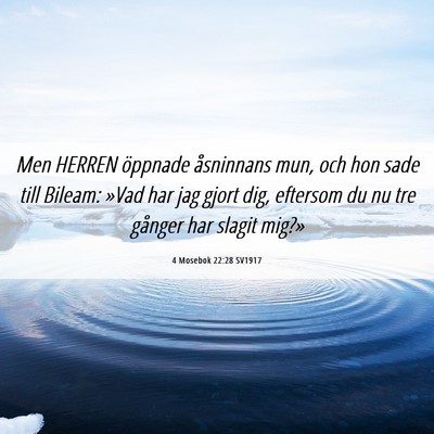 Picture 06 - 4 Mosebok 22:28 SV1917 - Men HERREN öppnade åsninnans mun, och hon sade - Bible Verse Picture