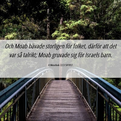 Picture 06 - 4 Mosebok 22:3 SV1917 - Och Moab bävade storligen för folket, därför - Bible Verse Picture