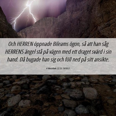 Picture 06 - 4 Mosebok 22:31 SV1917 - Och HERREN öppnade Bileams ögon, så att han - Bible Verse Picture