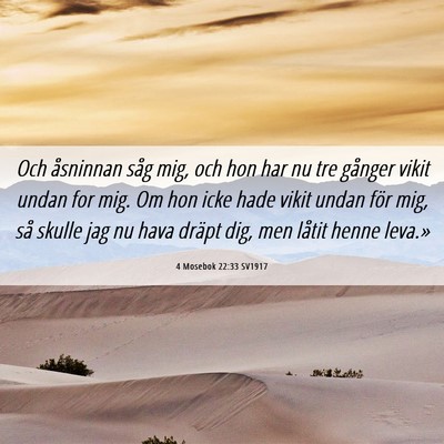 Picture 06 - 4 Mosebok 22:33 SV1917 - Och åsninnan såg mig, och hon har nu tre - Bible Verse Picture