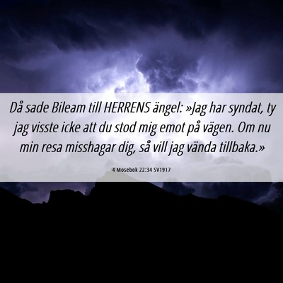 Picture 06 - 4 Mosebok 22:34 SV1917 - Då sade Bileam till HERRENS ängel: »Jag har - Bible Verse Picture