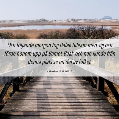 Picture 06 - 4 Mosebok 22:41 SV1917 - Och följande morgon tog Balak Bileam med sig och - Bible Verse Picture