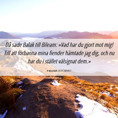 Picture 06 - 4 Mosebok 23:11 SV1917 - Då sade Balak till Bileam: »Vad har du gjort - Bible Verse Picture
