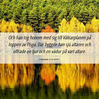 Picture 06 - 4 Mosebok 23:14 SV1917 - Och han tog honom med sig till Väktarplanen på - Bible Verse Picture