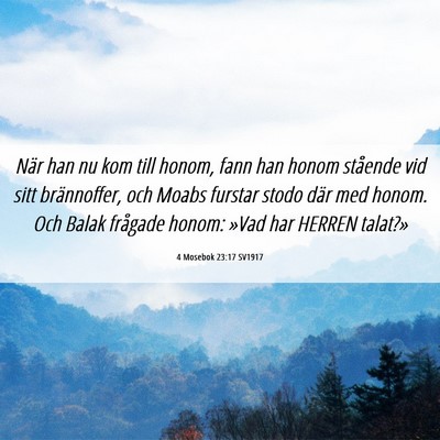 Picture 06 - 4 Mosebok 23:17 SV1917 - När han nu kom till honom, fann han honom - Bible Verse Picture
