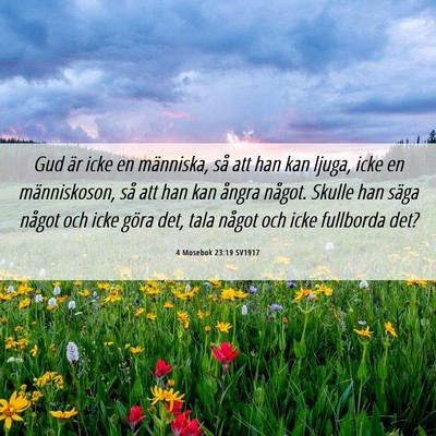 Picture 06 - 4 Mosebok 23:19 SV1917 - Gud är icke en människa, så att han kan ljuga, - Bible Verse Picture