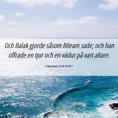Picture 06 - 4 Mosebok 23:30 SV1917 - Och Balak gjorde såsom Bileam sade; och han - Bible Verse Picture