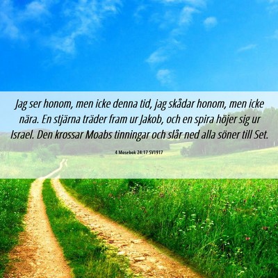 Picture 06 - 4 Mosebok 24:17 SV1917 - Jag ser honom, men icke denna tid, jag skådar - Bible Verse Picture