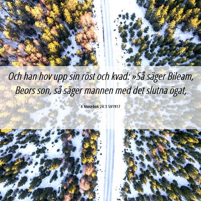Picture 06 - 4 Mosebok 24:3 SV1917 - Och han hov upp sin röst och kvad: »Så säger - Bible Verse Picture