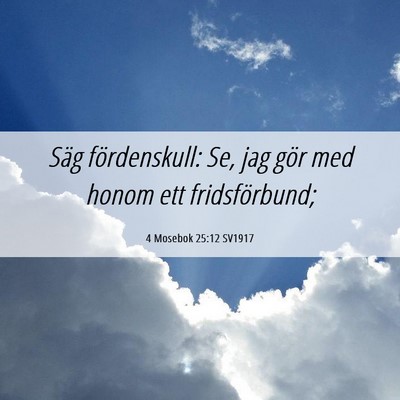 Picture 06 - 4 Mosebok 25:12 SV1917 - Säg fördenskull: Se, jag gör med honom ett - Bible Verse Picture