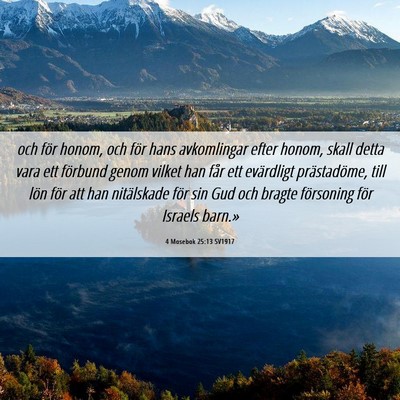 Picture 06 - 4 Mosebok 25:13 SV1917 - och för honom, och för hans avkomlingar efter - Bible Verse Picture