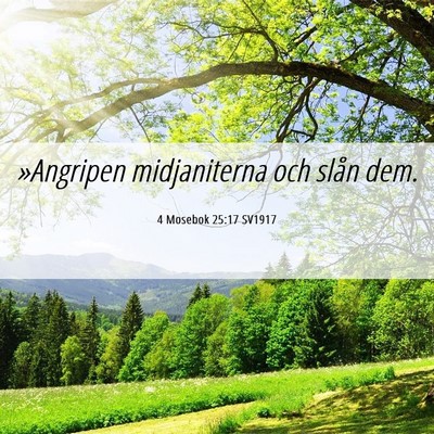Picture 06 - 4 Mosebok 25:17 SV1917 - »Angripen midjaniterna och slån - Bible Verse Picture