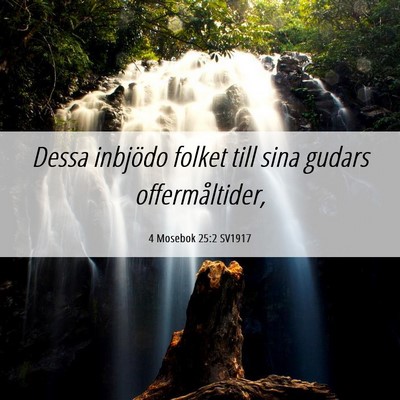 Picture 06 - 4 Mosebok 25:2 SV1917 - Dessa inbjödo folket till sina gudars - Bible Verse Picture