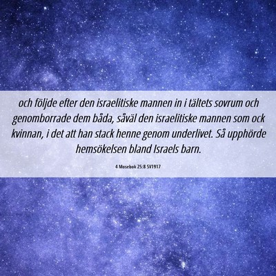Picture 06 - 4 Mosebok 25:8 SV1917 - och följde efter den israelitiske mannen in i - Bible Verse Picture